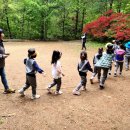 봉의초병설유치원 이미지