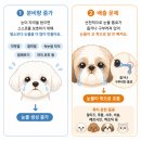 우리아이동물병원 | 동천동 동물병원, 우리 아이 눈물자국, 단순 미용 문제가 아닐 수 있습니다