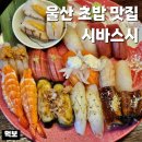 미스터스시울산본점 | 울산 초밥 맛집 시바스시 삼산 남구청 근처 밥집 점심 저녁 혼술 이빠이스시 추천