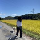 자라목펜션 이미지