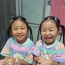 상주중앙초등학교 이미지