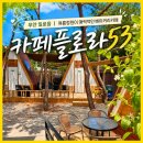 그늘막53 | 무안 일로읍 카페플로라 53 / 여름 정원이 매력적인 베이커리 카페 내돈내산
