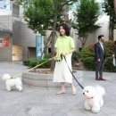 사안농장 이미지