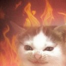 마크 | 이마크운자로 후기 (마운자로 X)