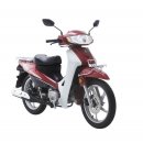 AJ 모터스 이미지