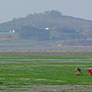 용정3리 이미지