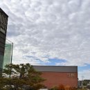 청주 라라스튜디오 비비엔다 웨딩촬영