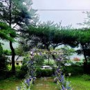 클럽 플로라 이미지