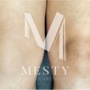 메스티(MESTY) 네이버블로그