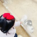 재남농장 이미지