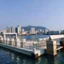 영심이식당 이미지