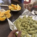 스테이인터뷰파도리 이미지