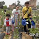 평동농장 이미지