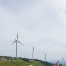 샘뜰목장 이미지