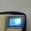 논픽션성수