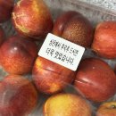 여름 제철과일 달달하지 햇사레 천도복숭아 택배 후기