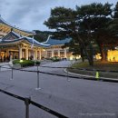 약나무마실 | 청와대 밤마실 방문 후기ㅣ청와대 관람 순서 추천ㅣ청와대 야간 개방