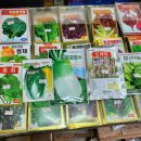 흥농종묘사 이미지