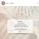 네일헤이븐