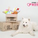 펫프렌즈 이미지