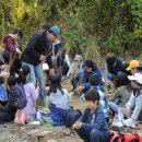 월롱초등학교 이미지