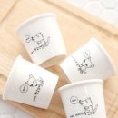 앙큼여우 이미지