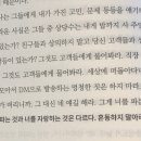 천일 소프트 이미지