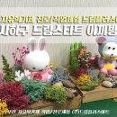 드림플러스아트 이미지