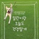 오늘도 댕댕 이미지