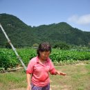 물돌이민박 이미지