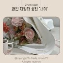 서이 | 과천 갈현동 꽃집 추천, 감각적인 꽃다발이 예쁜 플라워 서이 꽃집 방문 후기 (과천지식정보타운 꽃집)