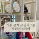 영등3차1호공원 | [경기 시흥] 인원수 제한 없는 은계 무인키즈룸 랄라키즈카페