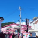 세븐일레븐부산기장연화리점 이미지