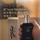 사진 한 장으로 끝내는 향수추천, 악센트아이디 AI 이미지 분석 퍼퓸 후기