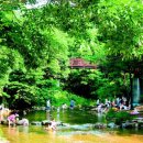 용현자연휴양림 | 국립 용현 자연휴양림 (대전/충남)