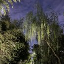 청계천로 이미지