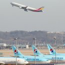 아시아나 이미지