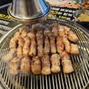 엄돼지
