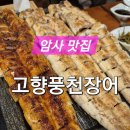 고향풍천장어 | [암사 맛집] 고향풍천장어본점 구워나오는 장어 소금구이 내돈내산 후기 암사 시장 근처 로컬 맛집