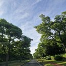 회원동116 이미지