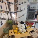 이화숯불갈비 | 평택 가족외식으로 딱 좋은 소사벌 돼지갈비 맛집 이화정숯불갈비 후기