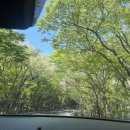 반가워, 제주 | 제주-목포-서울-완도 새벽배-제주 차량선적 이사 후기+서해안고속도로 휴게소 후기