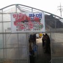 동막2농장 이미지