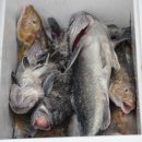 (주)황금바다 이미지