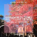 착한가게바베큐 | 포천 파인트리글램핑 ㅣ가을에 가기 좋은 포천 글램핑 VIP 밸리뷰 카라반 내돈내산 3번째 방문 후기