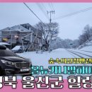 울진숲속의산장펜션 이미지