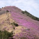 2016년04월12일 (화요일) 밀양 종남산 (663m) 주중산행안내~ 이미지