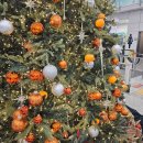 우진카케어 이미지