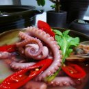 와우낙지 이미지