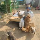 댕이곳간 이미지